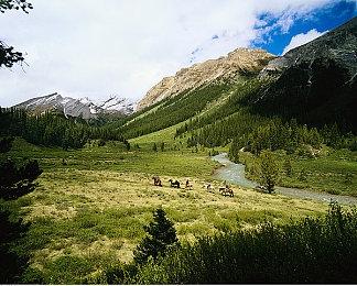 《真女神转生5》恶魔介绍：日本神话木叶天狗